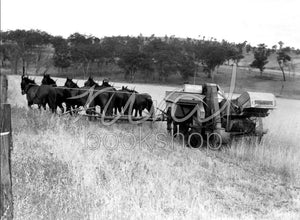 007 Machine with Horses