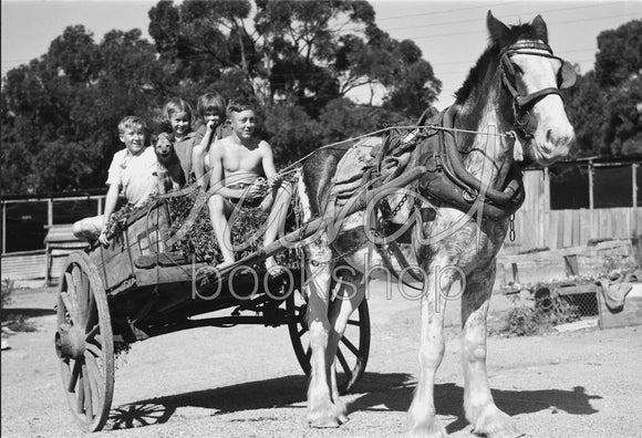 008 Children on a Horse Drawn Cart