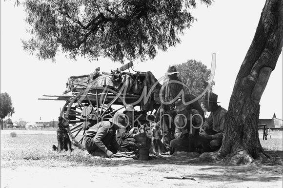 017 Men gathering under a gum tree