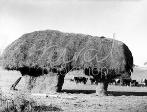 760 Hay Stack